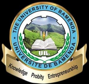 Partner institution logo